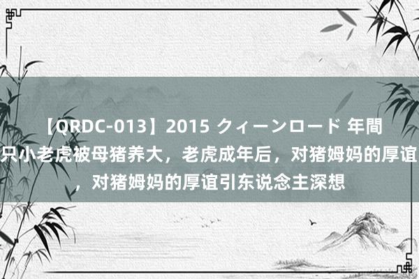 【QRDC-013】2015 クィーンロード 年間BEST10 泰国一只小老虎被母猪养大，老虎成年后，对猪姆妈的厚谊引东说念主深想