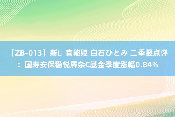 【ZB-013】新・官能姫 白石ひとみ 二季报点评：国寿安保稳悦羼杂C基金季度涨幅0.84%