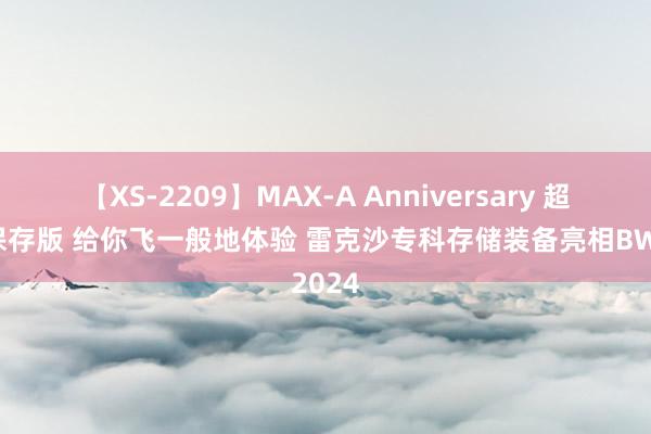 【XS-2209】MAX-A Anniversary 超永久保存版 给你飞一般地体验 雷克沙专科存储装备亮相BW2024