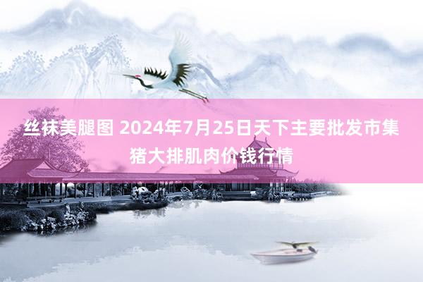 丝袜美腿图 2024年7月25日天下主要批发市集猪大排肌肉价钱行情