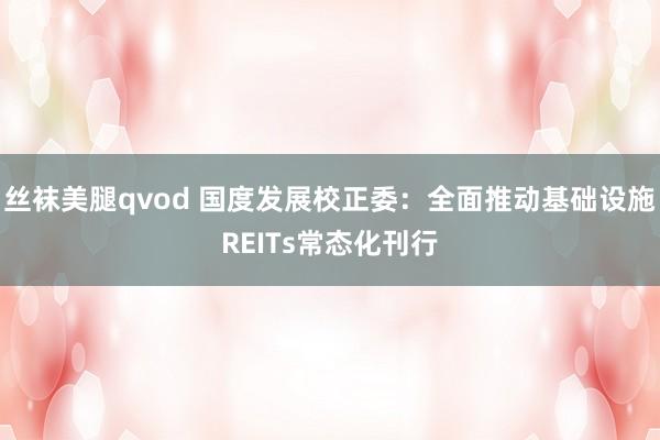 丝袜美腿qvod 国度发展校正委：全面推动基础设施REITs常态化刊行