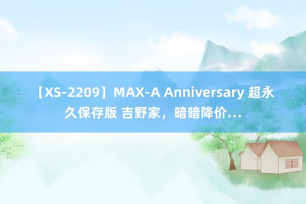 【XS-2209】MAX-A Anniversary 超永久保存版 吉野家，暗暗降价…