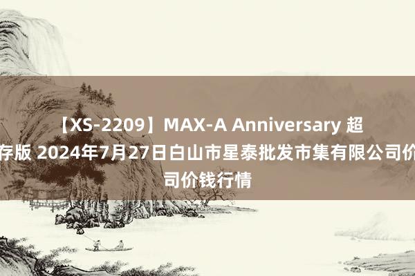 【XS-2209】MAX-A Anniversary 超永久保存版 2024年7月27日白山市星泰批发市集有限公司价钱行情