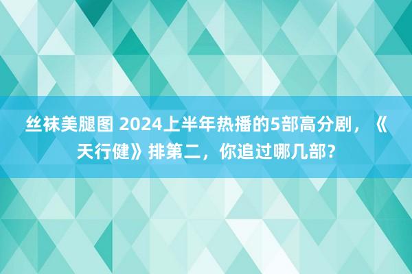 丝袜美腿图 2024上半年热播的5部高分剧，《天行健》排第二，你追过哪几部？