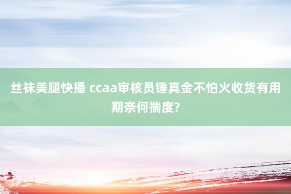 丝袜美腿快播 ccaa审核员锤真金不怕火收货有用期奈何揣度?