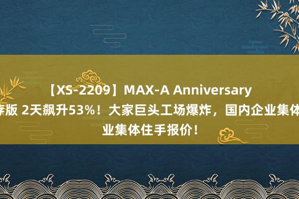 【XS-2209】MAX-A Anniversary 超永久保存版 2天飙升53%！大家巨头工场爆炸，国内企业集体住手报价！