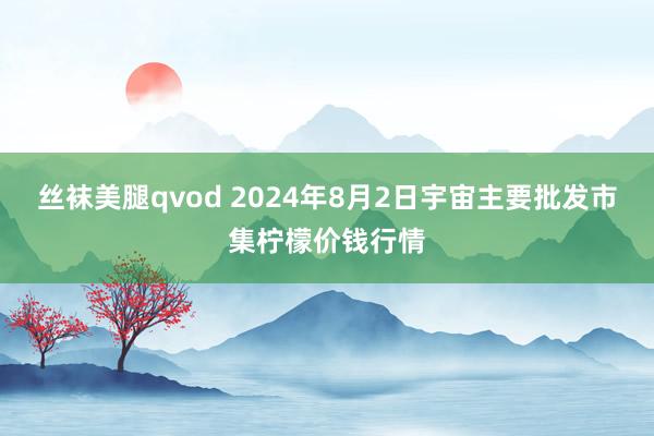 丝袜美腿qvod 2024年8月2日宇宙主要批发市集柠檬价钱行情