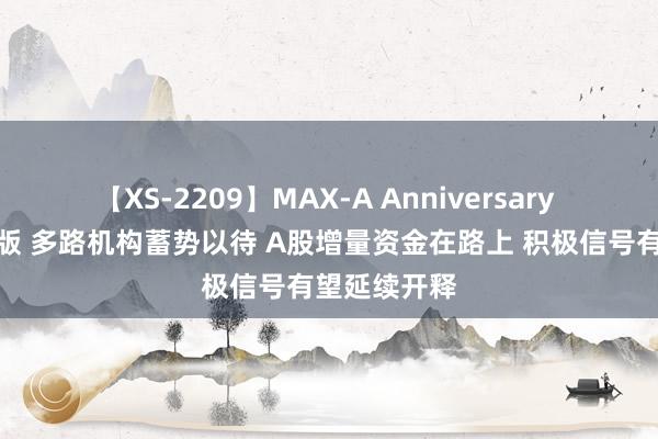 【XS-2209】MAX-A Anniversary 超永久保存版 多路机构蓄势以待 A股增量资金在路上 积极信号有望延续开释