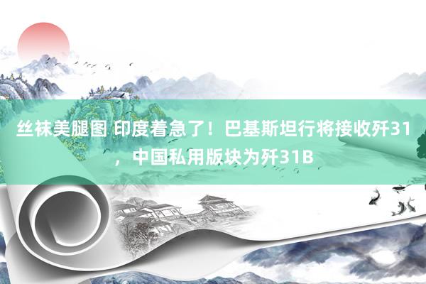 丝袜美腿图 印度着急了！巴基斯坦行将接收歼31，中国私用版块为歼31B