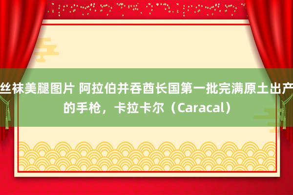 丝袜美腿图片 阿拉伯并吞酋长国第一批完满原土出产的手枪，卡拉卡尔（Caracal）