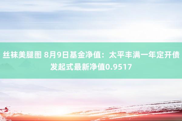 丝袜美腿图 8月9日基金净值：太平丰满一年定开债发起式最新净值0.9517