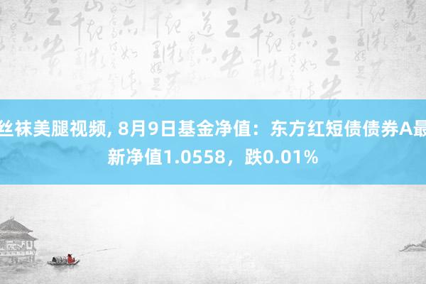 丝袜美腿视频， 8月9日基金净值：东方红短债债券A最新净值1.0558，跌0.01%