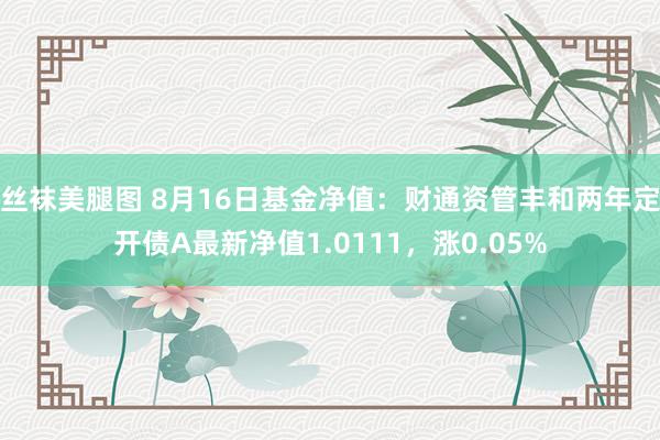 丝袜美腿图 8月16日基金净值：财通资管丰和两年定开债A最新净值1.0111，涨0.05%