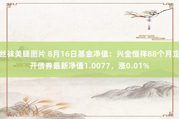 丝袜美腿图片 8月16日基金净值：兴全恒祥88个月定开债券最新净值1.0077，涨0.01%