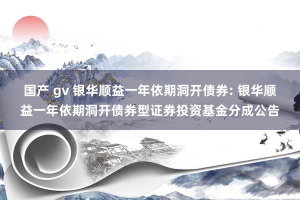 国产 gv 银华顺益一年依期洞开债券: 银华顺益一年依期洞开债券型证券投资基金分成公告