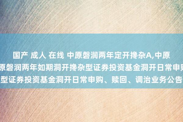 国产 成人 在线 中原磐润两年定开搀杂A，中原磐润两年定开搀杂C: 中原磐润两年如期洞开搀杂型证券投资基金洞开日常申购、赎回、调治业务公告