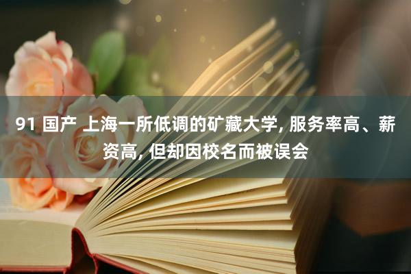 91 国产 上海一所低调的矿藏大学， 服务率高、薪资高， 但却因校名而被误会