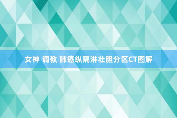 女神 调教 肺癌纵隔淋壮胆分区CT图解