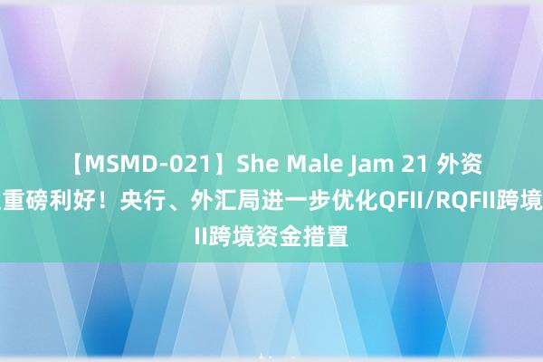 【MSMD-021】She Male Jam 21 外资投资将迎重磅利好！央行、外汇局进一步优化QFII/RQFII跨境资金措置