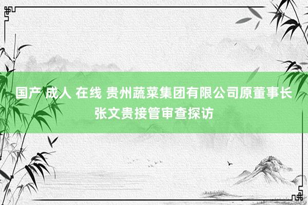 国产 成人 在线 贵州蔬菜集团有限公司原董事长张文贵接管审查探访