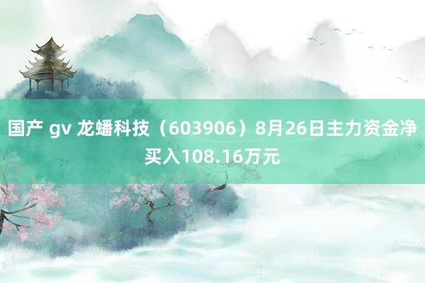 国产 gv 龙蟠科技（603906）8月26日主力资金净买入108.16万元