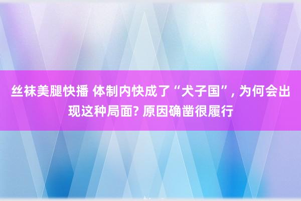 丝袜美腿快播 体制内快成了“犬子国”， 为何会出现这种局面? 原因确凿很履行