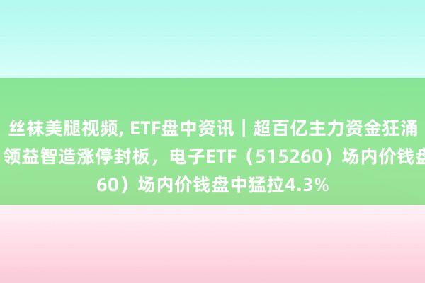 丝袜美腿视频， ETF盘中资讯｜超百亿主力资金狂涌！东山精密、领益智造涨停封板，电子ETF（515260）场内价钱盘中猛拉4.3%