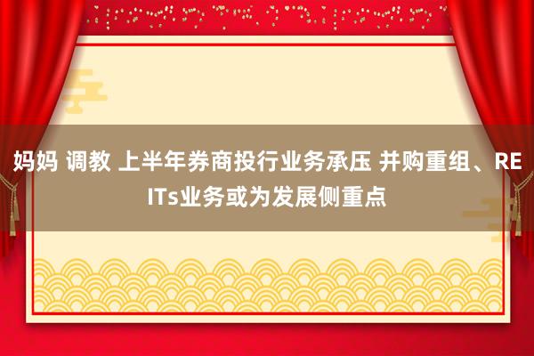 妈妈 调教 上半年券商投行业务承压 并购重组、REITs业务或为发展侧重点