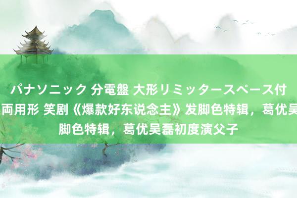 パナソニック 分電盤 大形リミッタースペース付 露出・半埋込両用形 笑剧《爆款好东说念主》发脚色特辑，葛优吴磊初度演父子