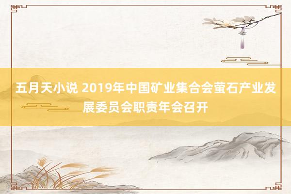 五月天小说 2019年中国矿业集合会萤石产业发展委员会职责年会召开