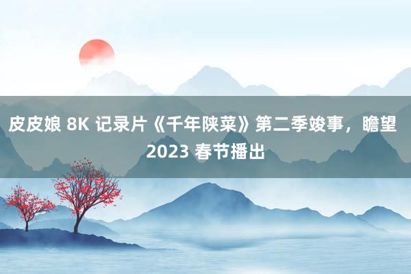 皮皮娘 8K 记录片《千年陕菜》第二季竣事，瞻望 2023 春节播出