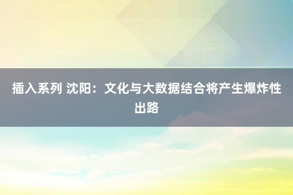 插入系列 沈阳：文化与大数据结合将产生爆炸性出路