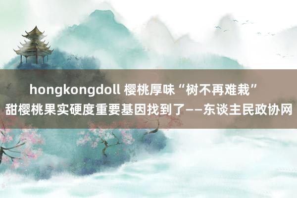 hongkongdoll 樱桃厚味“树不再难栽”  甜樱桃果实硬度重要基因找到了——东谈主民政协网