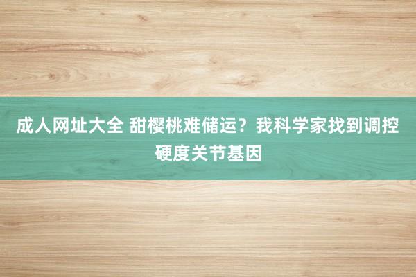 成人网址大全 甜樱桃难储运？我科学家找到调控硬度关节基因